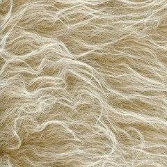Obraz premium textured background