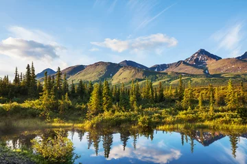 Foto auf gebürstetem Alu-Dibond Denali See auf Alaska