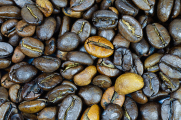 Coffee grains