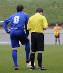 Fototapeta premium attente sur pelouse synthétique