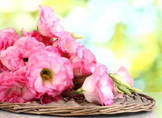 Obraz premium bouquet of eustoma flowers, on green background