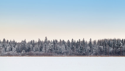 Landscape with coastal forest on frozen lake in winter season