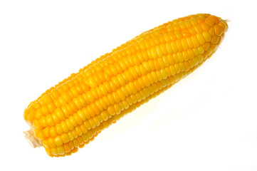 corn isolated