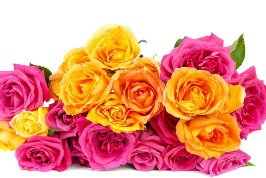 mixed pink and yellow rose