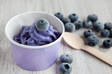 Frozen creamy ice yoghurt  with whole blueberries