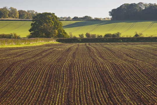 A recently ploughed field near to Naunton in the Cotswolds.