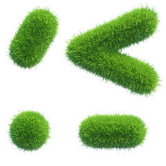 Obraz na płótnie Canvas green grass punctuation
