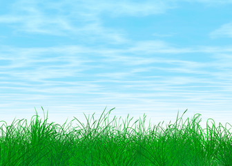 Fototapeta premium Hintergrund: Gras und Himmel