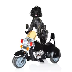 Deurstickers Hond rijden op een motorfiets © jagodka
