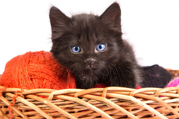 Fototapeta na wymiar Czarny kociak gra z czerwoną kulką przędzy na białym tle