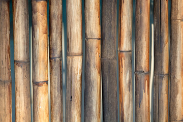 Bamboo wall background