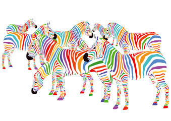 Farbenfrohe Zebras © scusi
