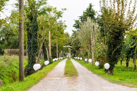 Wedding in the countryside