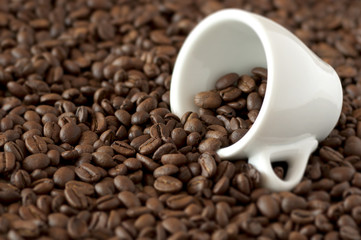 Fototapeta premium Cup on coffee beans