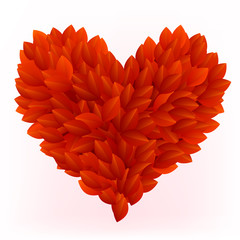 Beautiful heart made from red petals