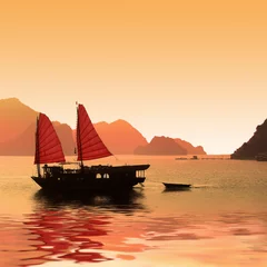 Fototapeten Jonque dans la baie d'Halong - Vietnam © Delphotostock