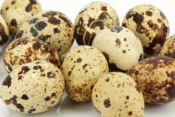 Jajka przepiórcze © CUKMEN