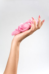 A young woman's hand is well cared for, holding the petals of a pink rose.