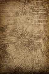 Leather texture background