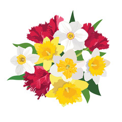 flower bouquet. spring flowers tulip and daffodil isolated.