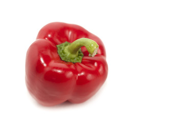 poivron isolé