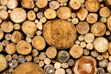 The old wood texture and background