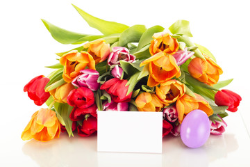 Bunch of tulips with easter egg and card