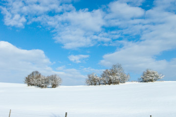 winterliche landschaft it blauem himmel und weissem schnee