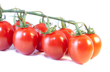 grappe de tomates cerise