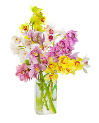 Bouquet of orchid flowers in glass vase isolated over white back