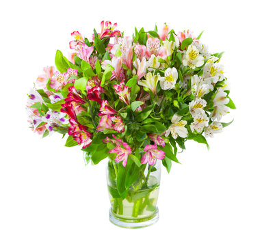 Fototapeta Bouquet of alstroemeria flowers in glass vase isolated over whit