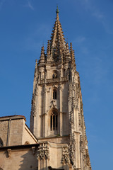 Fototapeta na wymiar Katedra w Oviedo, Asturia, Hiszpania