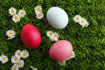 Colored easter eggs with little daisy flowers in grass