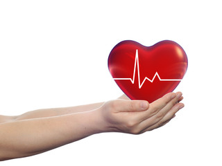 Obraz premium Conceptual 3D red heart held in human hands isolated on white