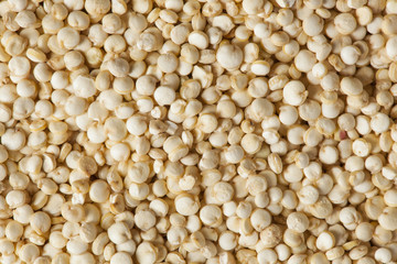 Raw Organic Quinoa Seeds
