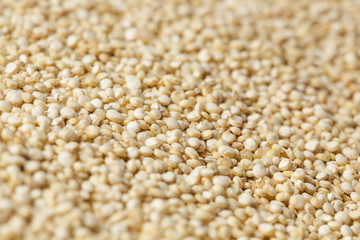 Raw Organic Quinoa Seeds