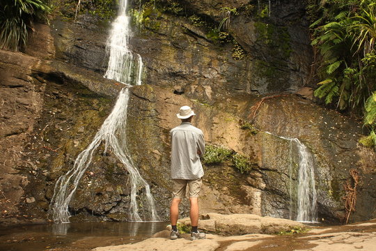 Fairy Falls At Waitakere Ranges