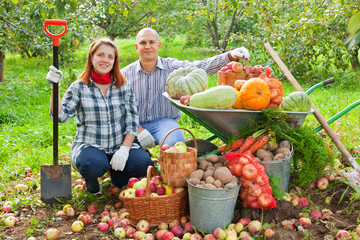 Obraz premium couple with harvested vegetables in garden