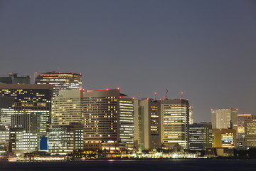 Fototapeta na wymiar Tokyo skyline view