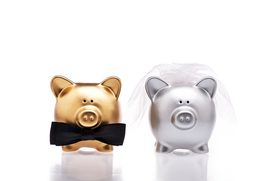 Marriage concept two cute pigs