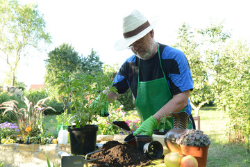 Garten 26