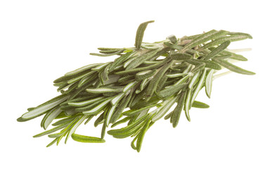 Fototapeta premium Rosemary