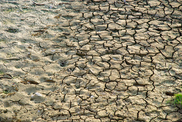Sécheresse