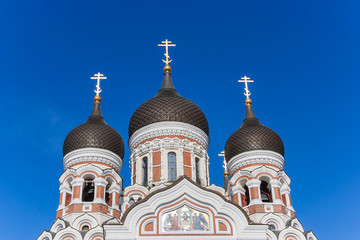 Aleksandr Nevsky Cathedral