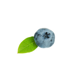Obraz premium Ripe blueberry