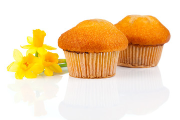 muffins, isolated on white background