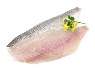 Dorade - Filets