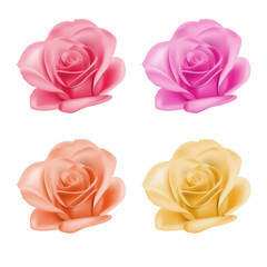 Set of roses isolated on white