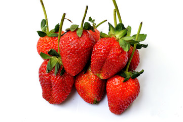 isolated strawberries