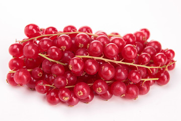 isolated red currant